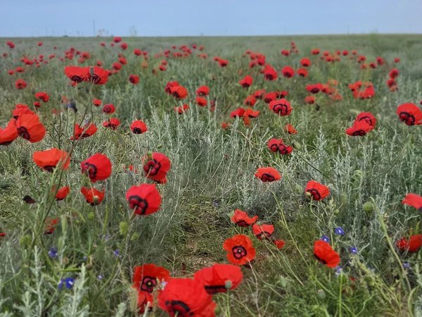 Открывая полуостров Мангистау (из Актау) - фото 2