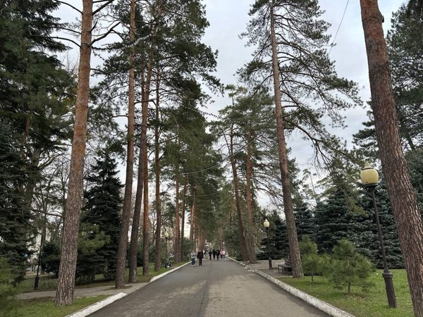 Горячий Ключ: день у целебных источников (из Краснодара) - фото 1