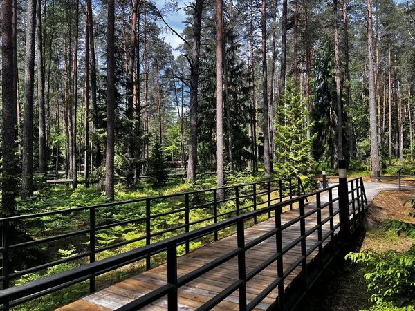 Смоленск из окна туристического такси - фото 4