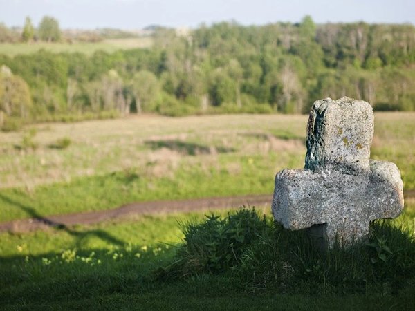 Псков и его окрестности — с интересом и любовью! - фото 1