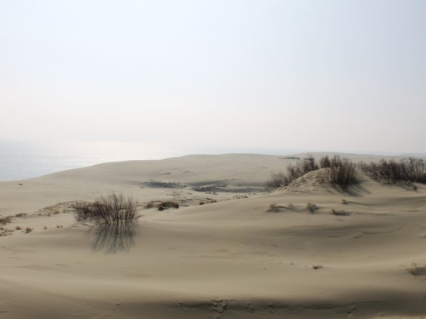 Из Калининграда — на Куршскую косу и в Зеленоградск - фото 4