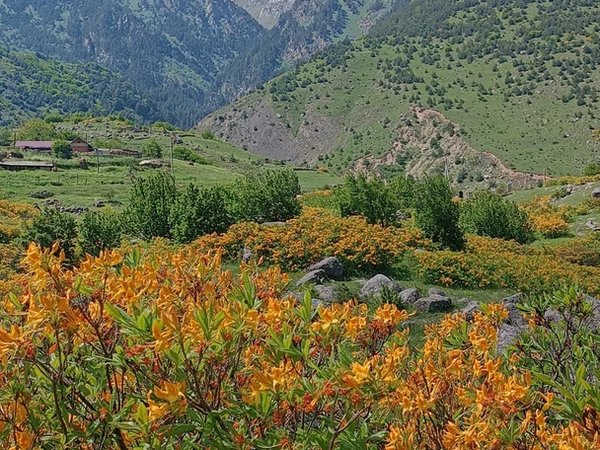 Северная Осетия: в сердце Дигорского ущелья (из Нальчика) - фото 1