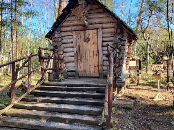 Природное и историческое богатство Куршской косы (из Зеленоградска) - фото 2