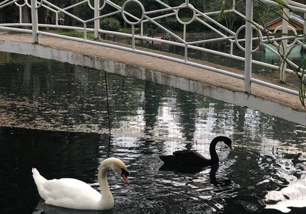 На один день в Абхазскую сказку по «Золотому кольцу Абхазии» - фото 1
