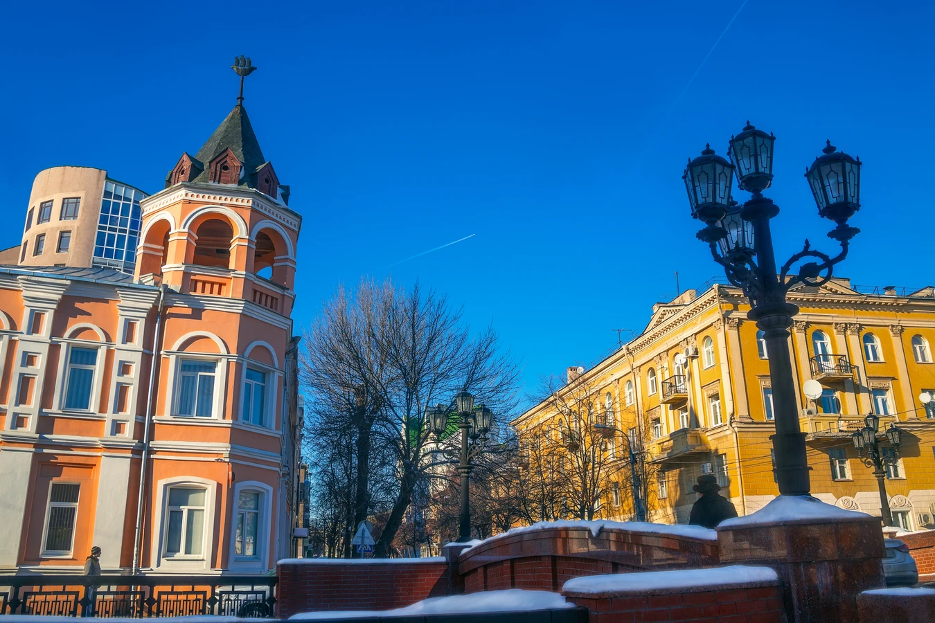 Воронеж и удивительный мир бобров