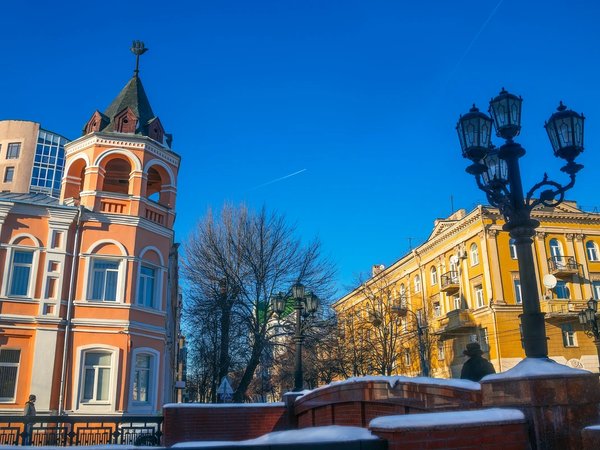 Воронеж и удивительный мир бобров - фото 1