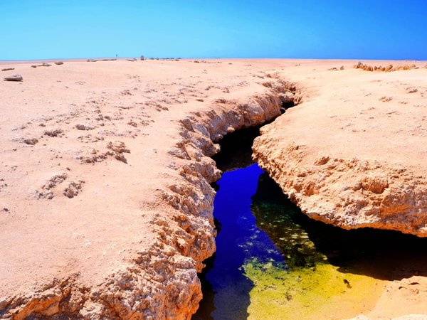 Национальный парк Рас-Мохаммед — в мини-группе - фото 2