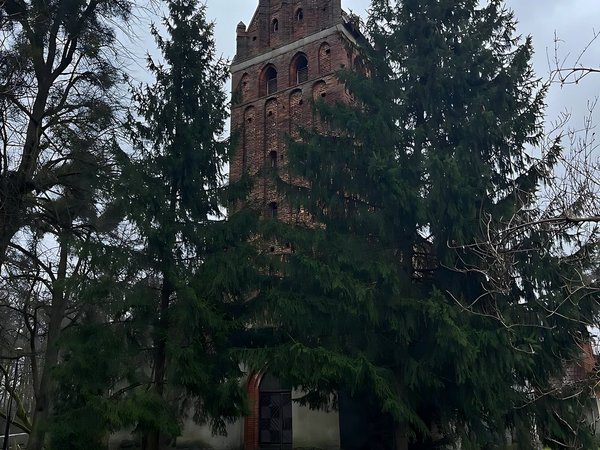 Тайны тевтонских замков и балтийских маяков (из Калининграда) - фото 3