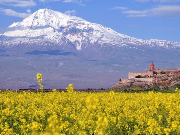 Арарат, Арени и Нораванк — дороги, пропитанные солнцем - фото 1