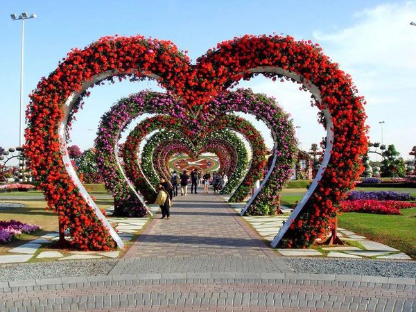 Из Владикавказа — в возрожденный Грозный! - фото 3