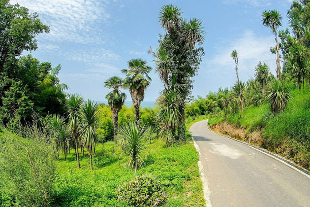 Фото экскурсии - Неспешная прогулка по живописным районам Батуми - 9