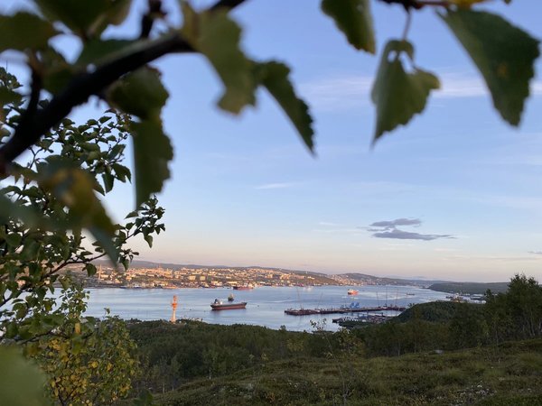 Свидание с Севером на сопке Мишукова - фото 3
