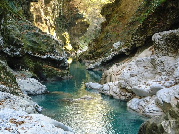 Из Батуми — в удивительную Мегрелию! - фото 3
