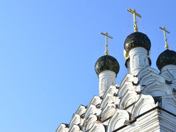 Коломенский кремль и Посад за 1 день! - фото 4