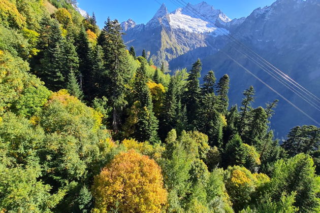 Фото экскурсии - Отправляйтесь в Домбай к величественным ледникам, заснеженным пикам и живописным озерам - 6