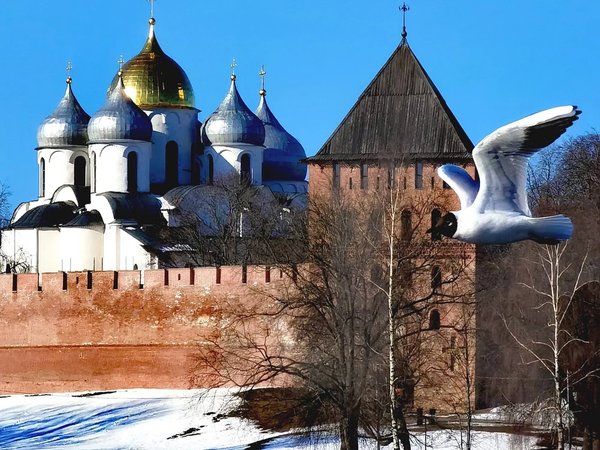 Два центра Великого Новгорода: кремль и Ярославово дворище - фото 3