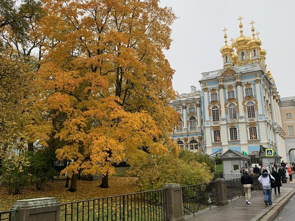 В Екатерининский дворец и Лицей — на машине из Петербурга - фото 3
