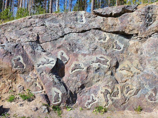 Путешествие по Карелии из Петрозаводска