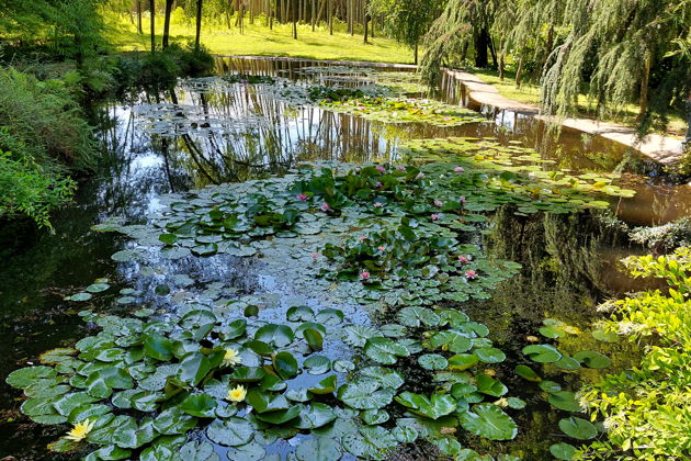 Фото экскурсии - Прогулка по магнитным пескам и живописным паркам Шекветили - 5
