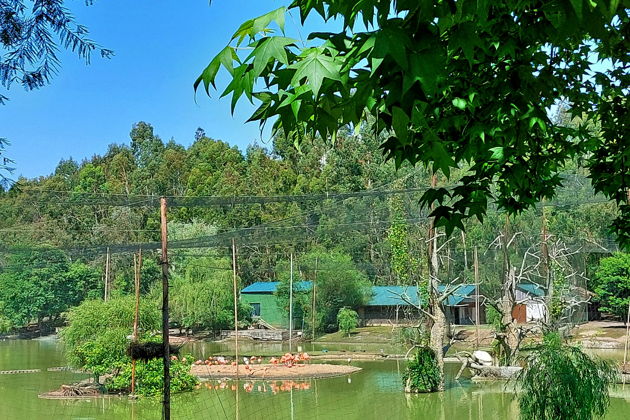 Фото экскурсии - Прогулка по магнитным пескам и живописным паркам Шекветили - 7