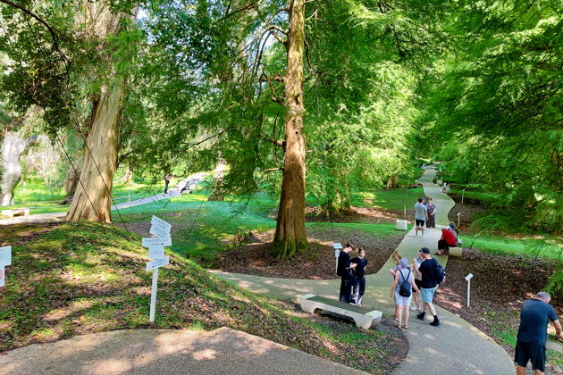 Фото экскурсии - Прогулка по магнитным пескам и живописным паркам Шекветили - 9