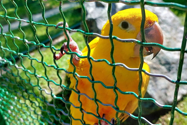 Фото экскурсии - Прогулка по магнитным пескам и живописным паркам Шекветили - 11