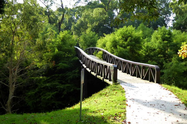 Фото экскурсии - Прогулка по магнитным пескам и живописным паркам Шекветили - 14
