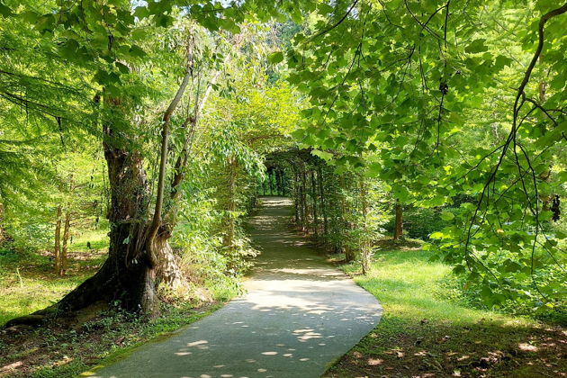 Фото экскурсии - Прогулка по магнитным пескам и живописным паркам Шекветили - 15