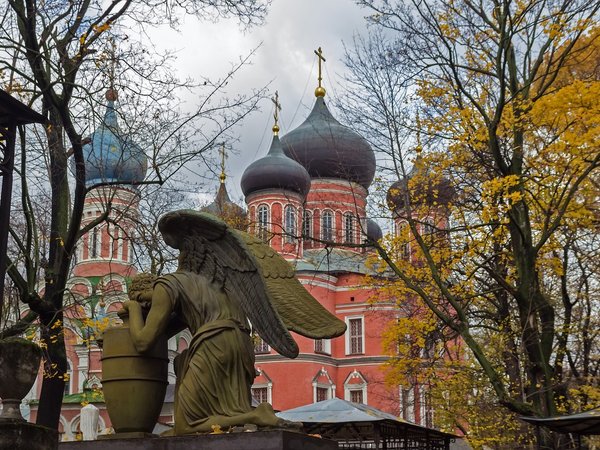 Донской монастырь + крипта и усыпальница Голицыных - фото 2
