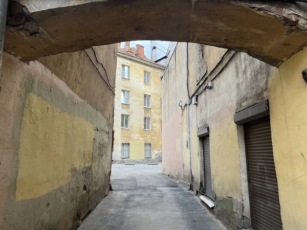 Страсти на Сенной, или Петербург Достоевского - фото 3