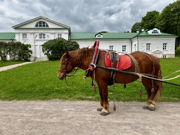 По стопам Льва Толстого: из Тулы в Ясную Поляну - фото 4
