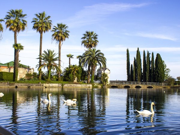 Большое знакомство с Абхазией (из Пицунды) - фото 1