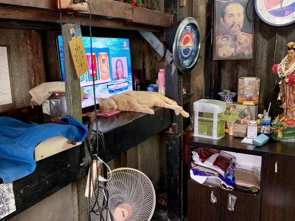 Город ангелов и искушений — глазами местных жителей - фото 3