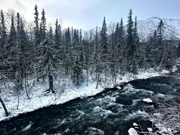 Секреты снежных вершин: из Мурманска — в Кировск и Хибины - фото 2