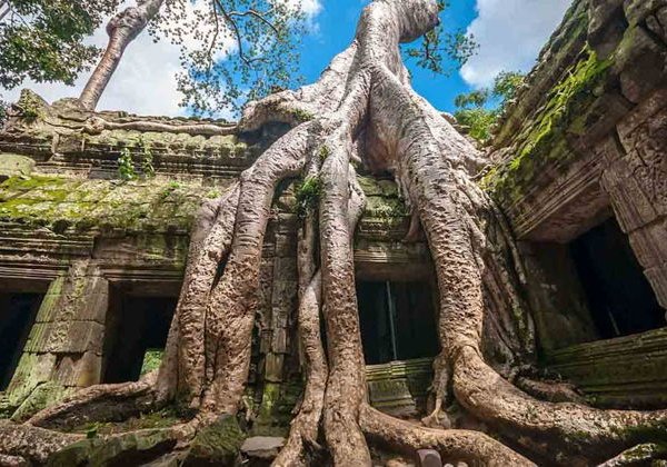 По следам Лары Крофт: Пном Кулен и Ангкор Ват в Камбодже (2 дня/1 ночь) - фото 3