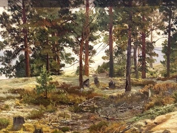 По выставке Шишкина в Русском музее (билеты включены) - фото 2