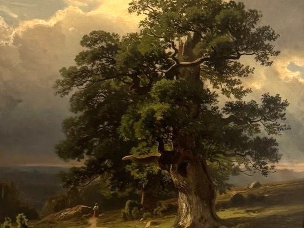 По выставке Шишкина в Русском музее (билеты включены) - фото 3