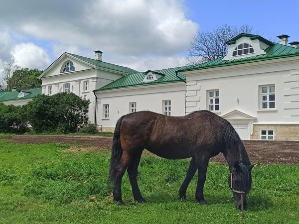 Большое путешествие в Ясную Поляну (на вашем автомобиле)