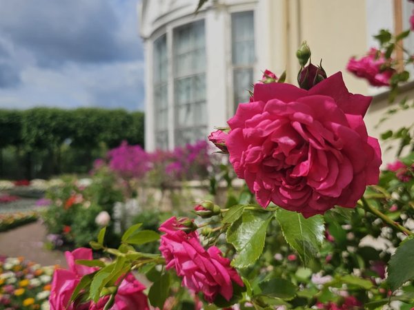 Романтический Павловск: по дворцу и парку с персональным гидом - фото 1
