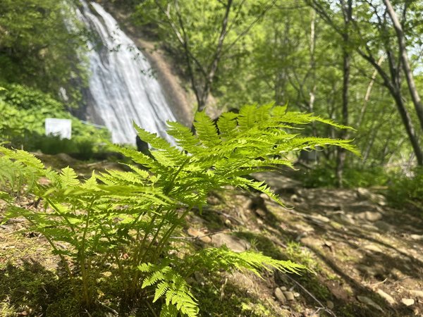 Бухта Тихая, Клоковский водопад и посёлок Взморье - фото 3