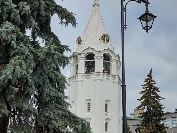 Экскурсия-прогулка по Нижегородскому кремлю - фото 4