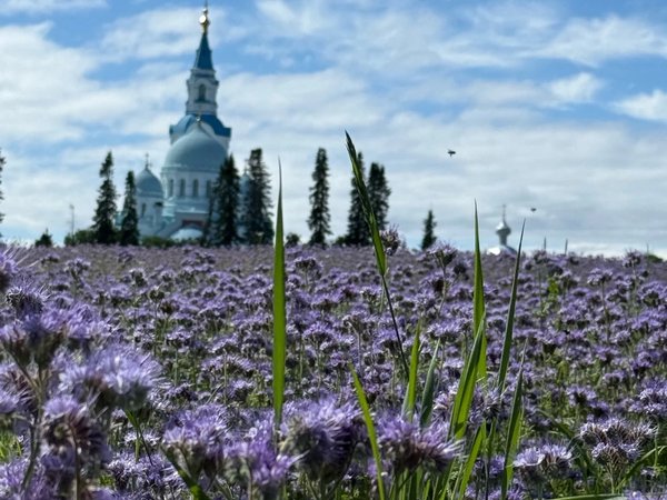 Валаам: водная прогулка к острову вдохновения - фото 4