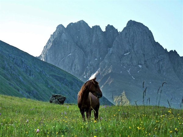 Казбеги: главные и нетуристические тропы из Тбилиси - фото 4