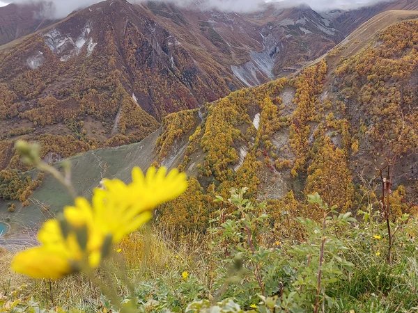 Казбеги: увидеть красоту Кавказских гор своими глазами