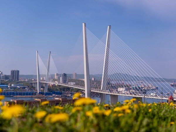 Фото из Владивостока: экскурсия по знаковым местам + мобильная фотосессия