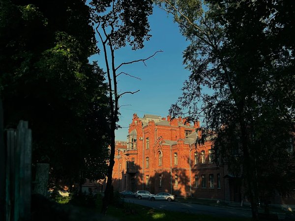 Хоррор-путешествие по самому загадочному району Питера - фото 2