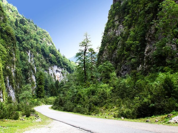 На кабриолете из Гагры к озеру Рица! - фото 4