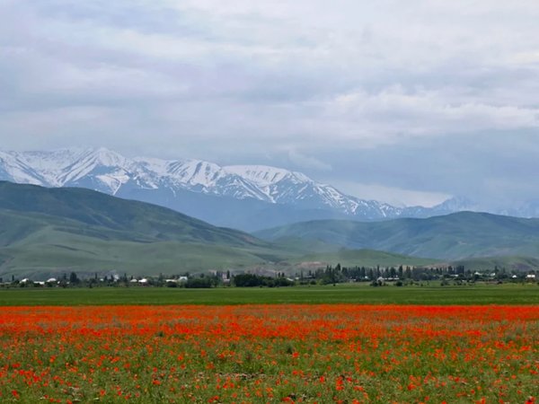 Из аэропорта Бишкека — сразу в горы Тянь-Шаня - фото 2