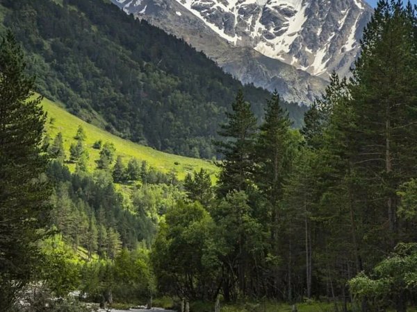 Из Кисловодска на Уллу-Тау: место силы, водопады и горные пейзажи в мини-группе - фото 2