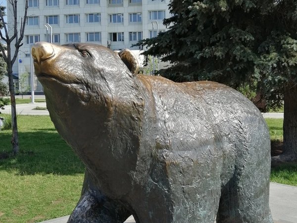 Лёгкая обзорная экскурсия по центру Перми - фото 3